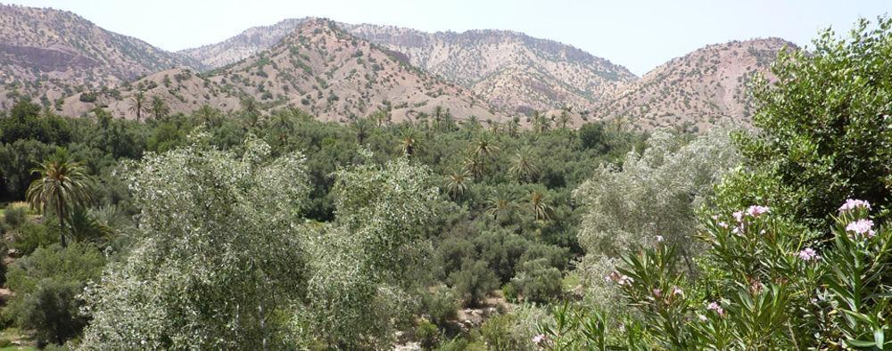Palais Villa Talaa Resort Taroudant Esterno foto